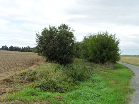 Foto 14